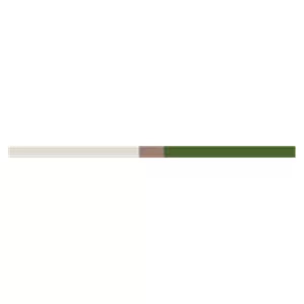 [HS 112-5696] TIRAS DE LIJA PLASTICO MEDIANO (100)   HENRY SCHEIN