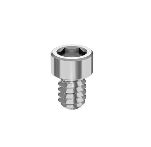 [FG 10.22.01] ARCSYS - TORNILLO P. FIJACION POTESIS ATORNILLADA