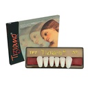 DIENTES TIZIANO 1 X 6 ANTERIOR INF-COLOR A0 TP7