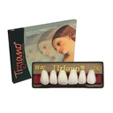 DIENTES TIZIANO 1 X 6 ANTERIOR SUP-COLOR A0 TF42