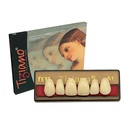 DIENTES TIZIANO 1 X 6 ANTERIOR SUP-COLOR A1 TE12