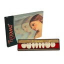 DIENTES TIZIANO 1 X 8 POSTERIOR INF-COLOR A1 29M