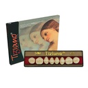 DIENTES TIZIANO 1 X 8 POSTERIOR SUP-COLOR A1 34M