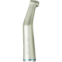 MANGO INTRA - 1:1 LUX APPLE