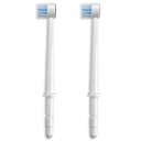 WATERPIK WP-450/100 PUNTAS CEPILLO  (2)